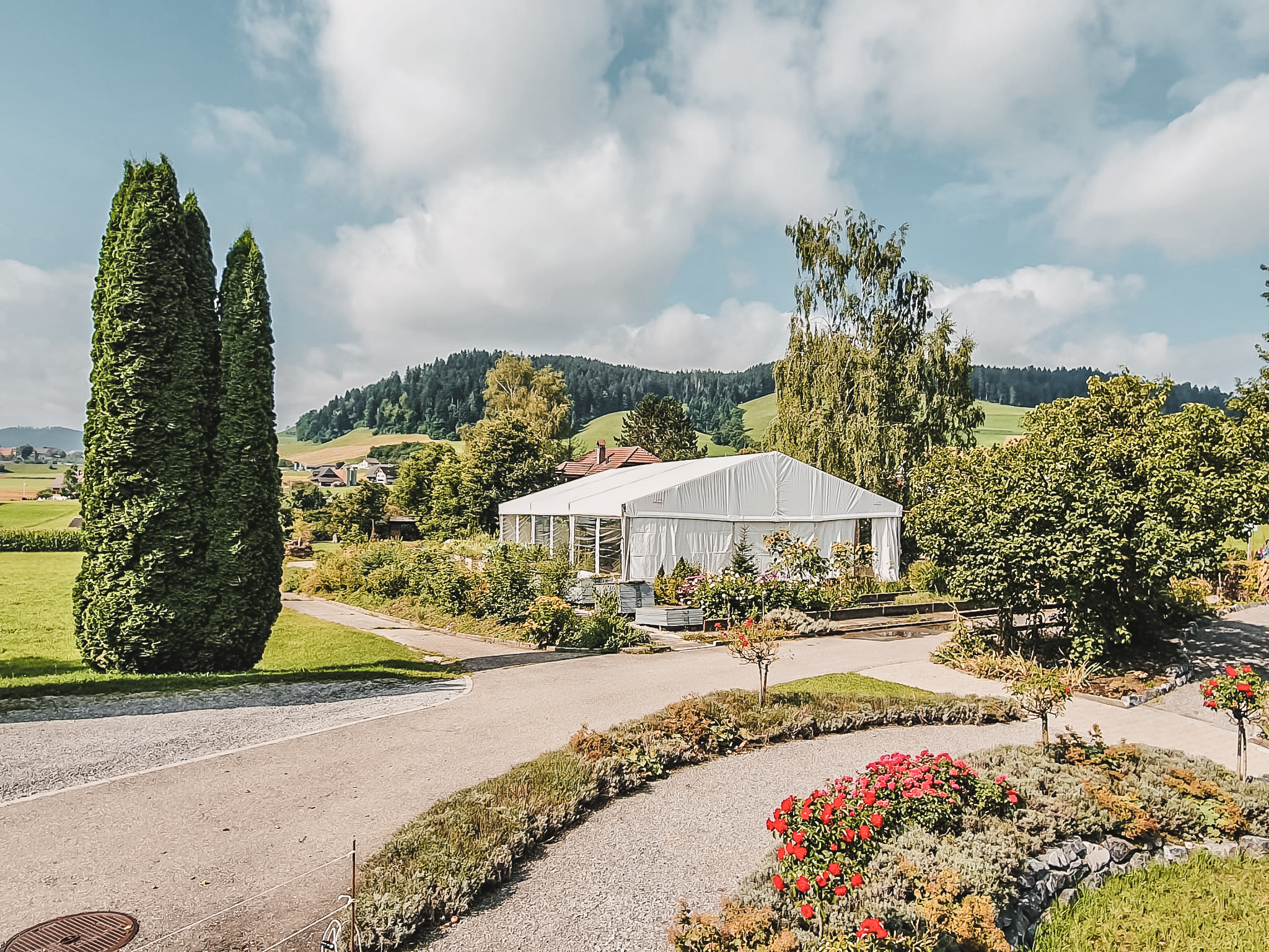 GIJYE5384.jpg GIJYE5384